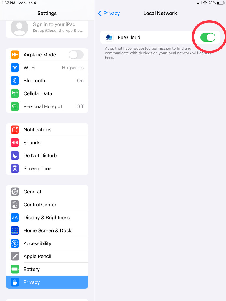 iOS Local Network Settings, Step 4 Toggle Local Network to On