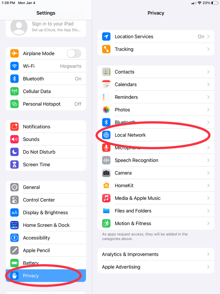 iOS Local Network Settings, Step 3 Tap Privacy and Local Network